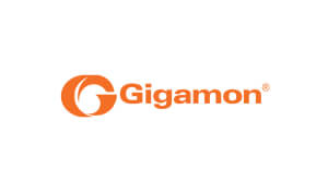 Vilija Marshall Voice Actor Gigamon Logo
